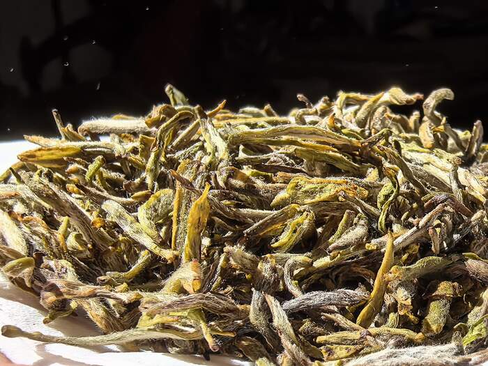 探秘“茶中黃金”：蒙頂黃芽的傳奇與價(jià)值