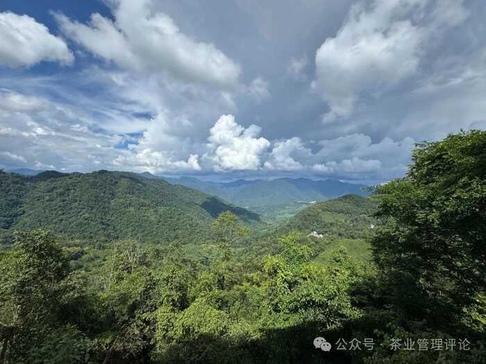 解碼茶葉小產(chǎn)區(qū)與茶空間的財(cái)富哲學(xué) ——《現(xiàn)代商業(yè)銀行·財(cái)富生活》專訪鄧增永