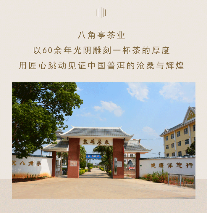 八角亭大事記 探索時期（1951-2001年）