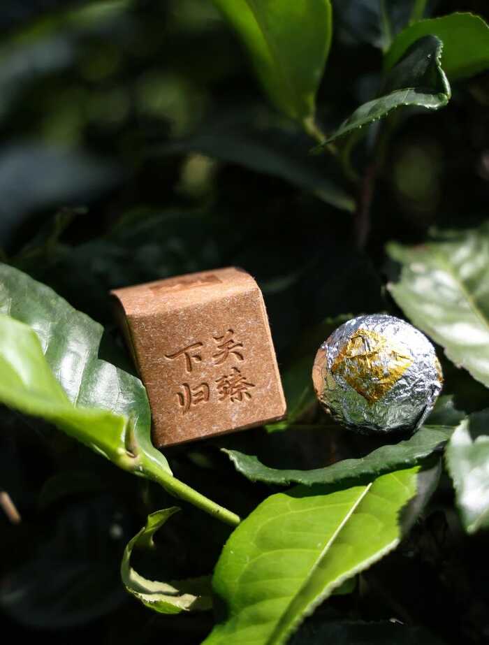 2025·下關(guān)歸臻 錫紙裹霞嵐，歸臻蘊(yùn)茶山