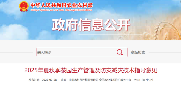 農(nóng)業(yè)農(nóng)村部發(fā)布2025年夏秋季茶園生產(chǎn)管理及防災(zāi)減災(zāi)技術(shù)指導(dǎo)意見