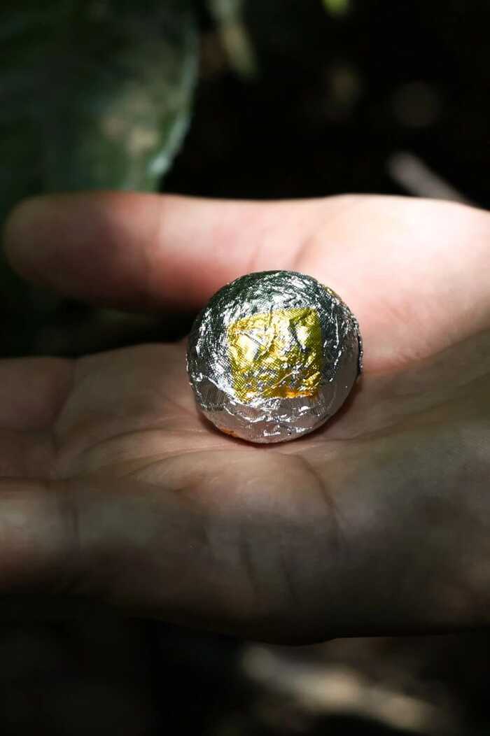 2025·下關(guān)歸臻 錫紙裹霞嵐，歸臻蘊(yùn)茶山