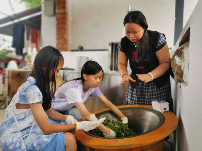 思茅區(qū)：暑期茶旅融合激活產(chǎn)業(yè)新動能