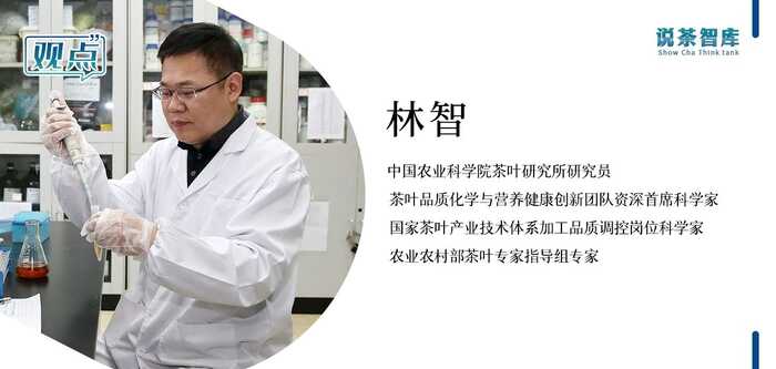 接近或突破歷史極值！冷泡茶市場藏著多少真需求？
