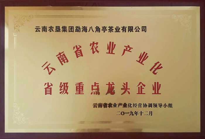 八角亭大事記 新發(fā)展時(shí)期（2013年至今）