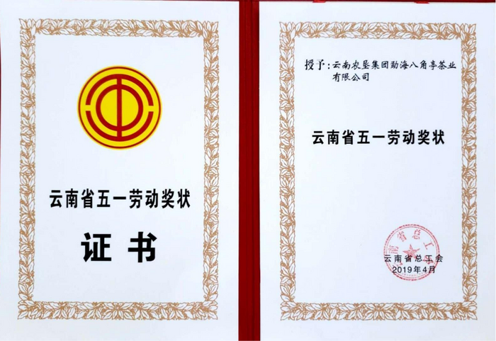 八角亭大事記 新發(fā)展時(shí)期（2013年至今）