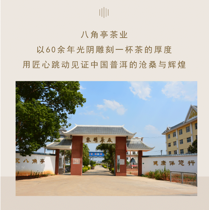 八角亭大事記 新發(fā)展時(shí)期（2013年至今）