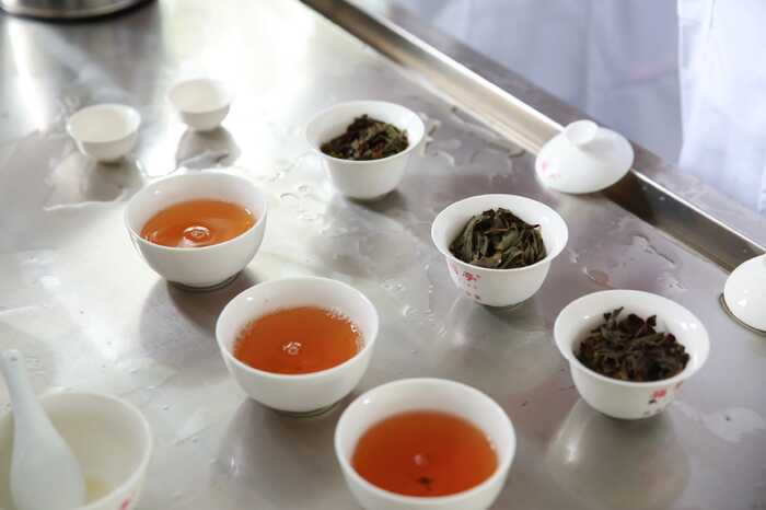 2024年我國烏龍茶品質(zhì)與加工技術(shù)研究進(jìn)展
