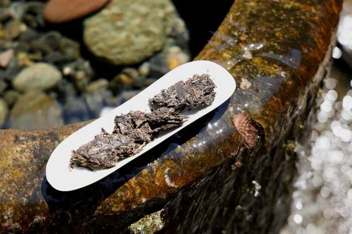 下關(guān)沱茶煙香系譜的鐵將軍——?jiǎng)倮F餅