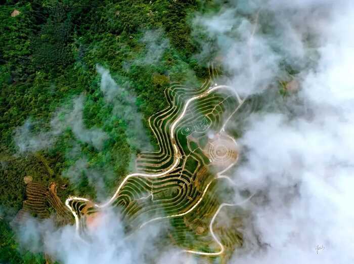 八閩山水育“地標(biāo)”好茶
