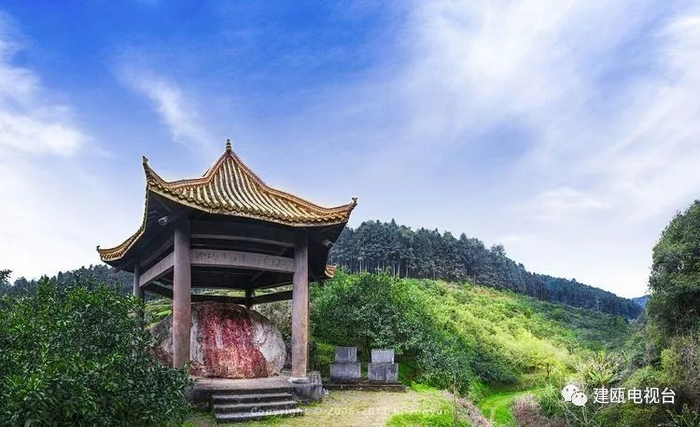 八閩山水育“地標(biāo)”好茶