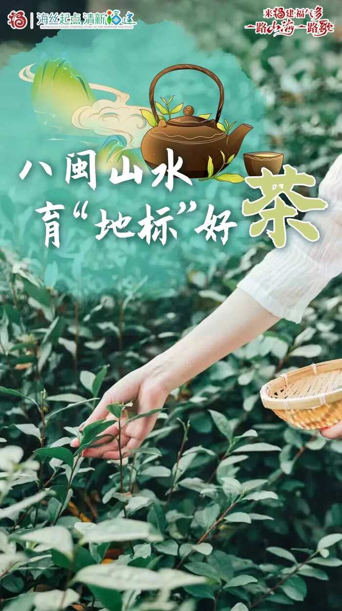 八閩山水育“地標(biāo)”好茶