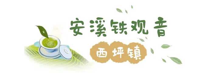 八閩山水育“地標(biāo)”好茶