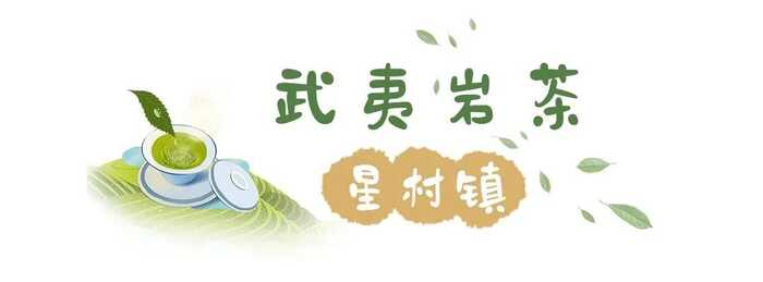 八閩山水育“地標(biāo)”好茶
