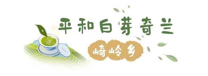 八閩山水育“地標(biāo)”好茶