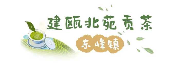 八閩山水育“地標(biāo)”好茶