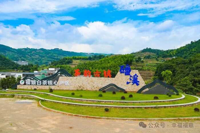 八閩山水育“地標(biāo)”好茶