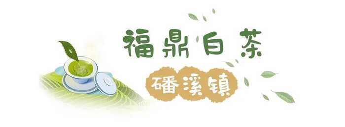 八閩山水育“地標(biāo)”好茶