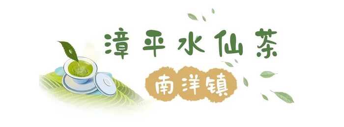 八閩山水育“地標(biāo)”好茶