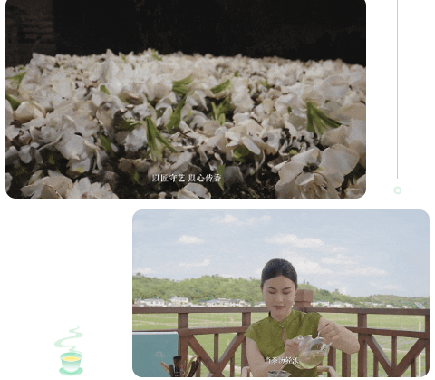 芬芳犍為茉莉花茶·香沁天下