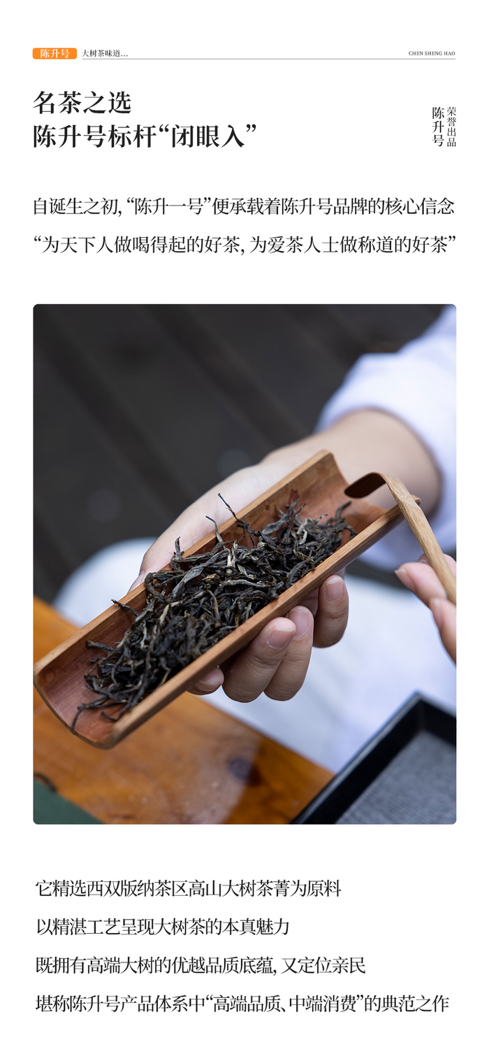 名茶之選·壹號擔(dān)當(dāng) 陳升號2025年“陳升一號”面市