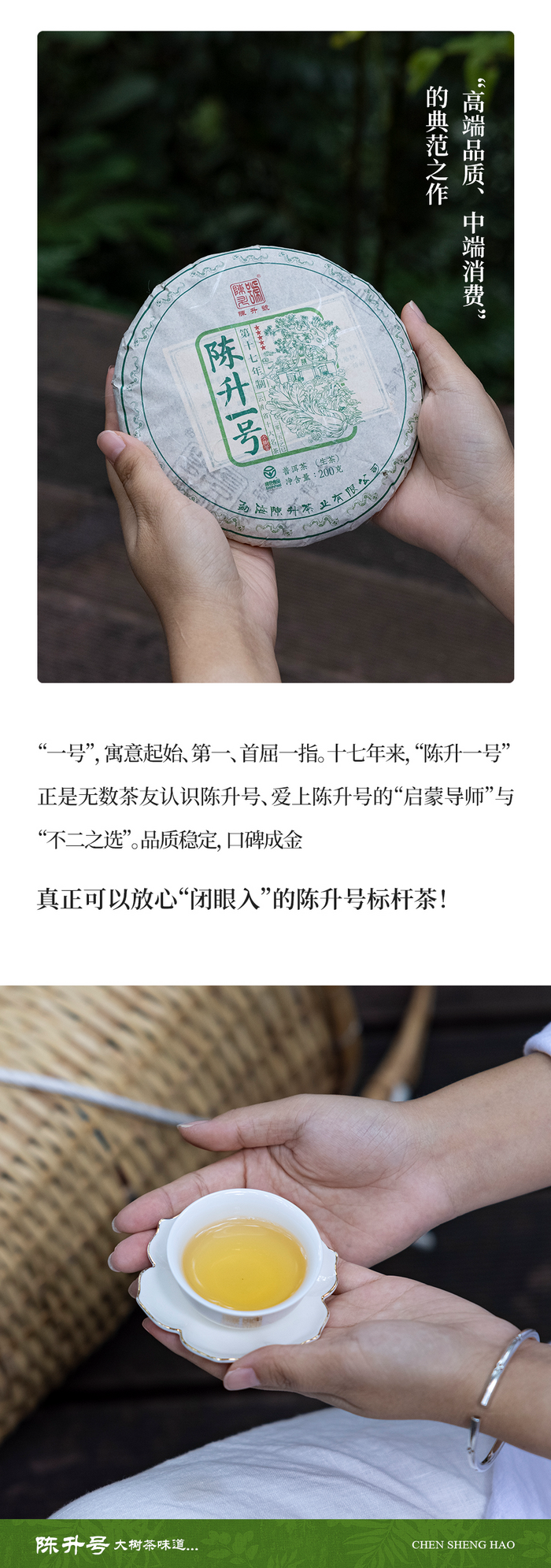 名茶之選·壹號擔(dān)當(dāng) 陳升號2025年“陳升一號”面市