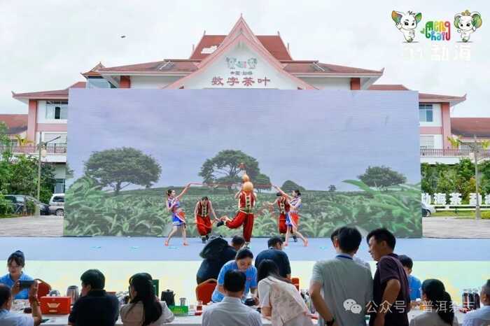 茶乡勐海喜迎八方宾客：刘仲华院士解码新质生产力