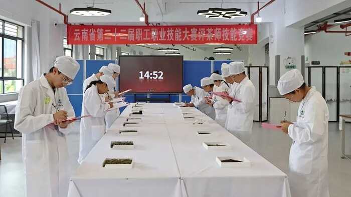 下關(guān)沱茶集團(tuán)公司施磊在“云南省第二十二屆職工職業(yè)技能大賽”評(píng)茶師技能競(jìng)賽中斬獲佳績(jī)！