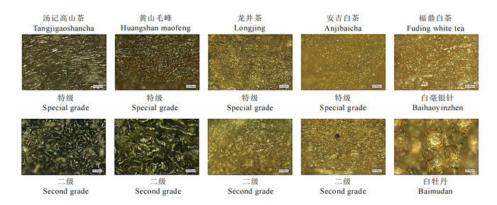 喷一喷即可降本增效！茉莉花茶窨制增香新路径