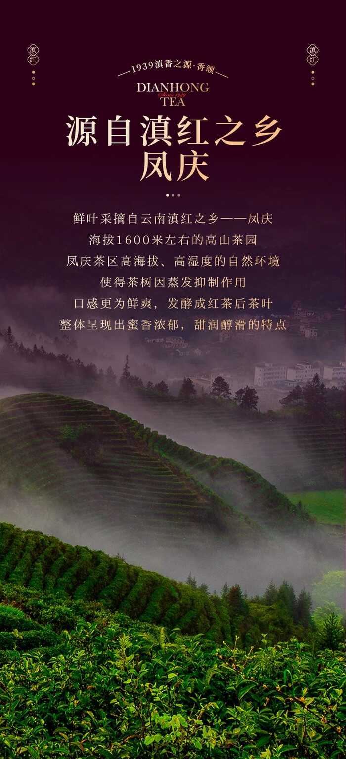 七彩云南?新品上市  便攜口糧滇紅茶，時(shí)刻蜜甜滋養(yǎng)