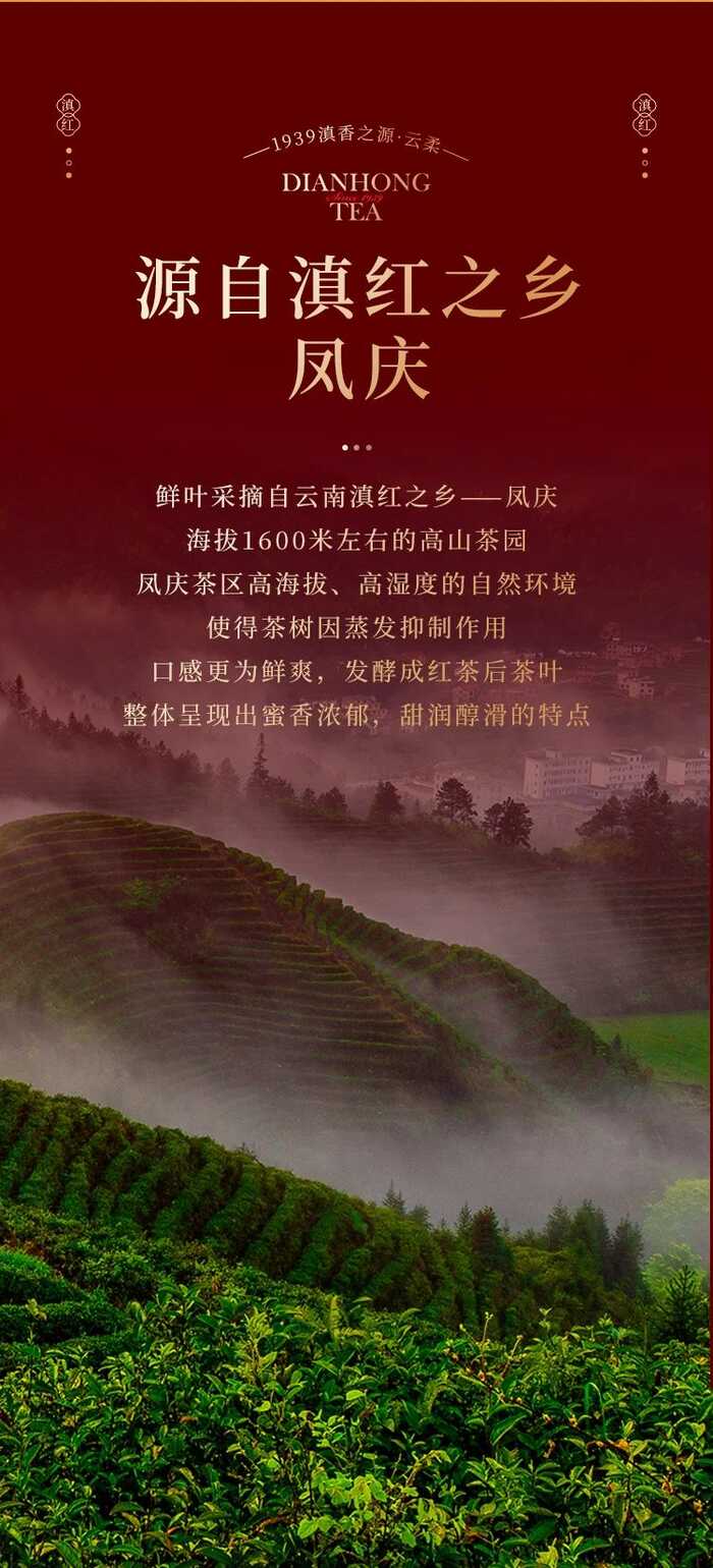 七彩云南?新品上市  便攜口糧滇紅茶，時(shí)刻蜜甜滋養(yǎng)