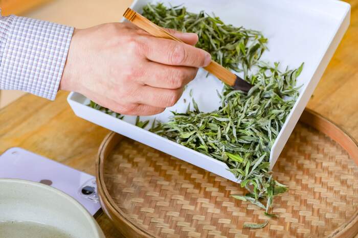 茶葉香氣研究進(jìn)展①：六大茶類中關(guān)鍵香氣物質(zhì)