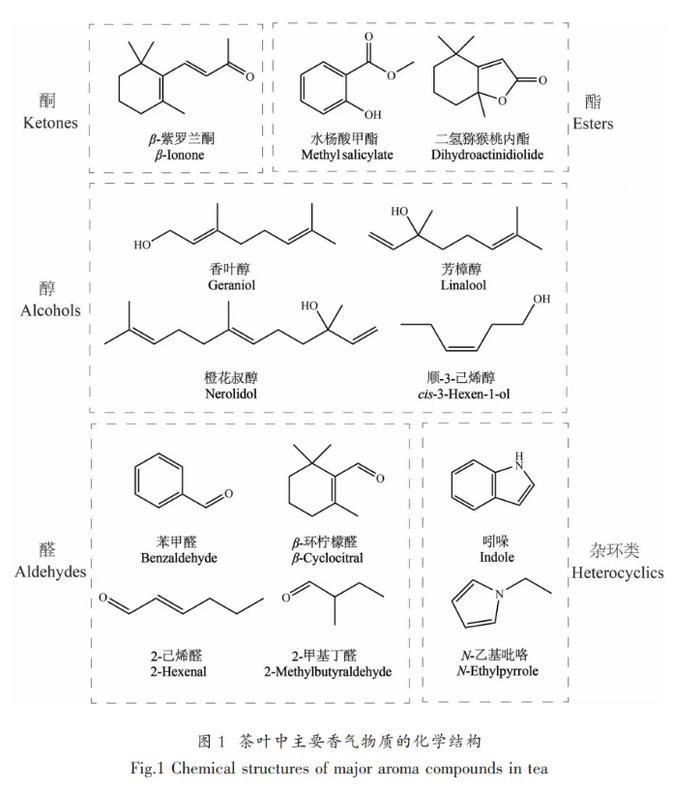茶葉香氣研究進(jìn)展①：六大茶類中關(guān)鍵香氣物質(zhì)