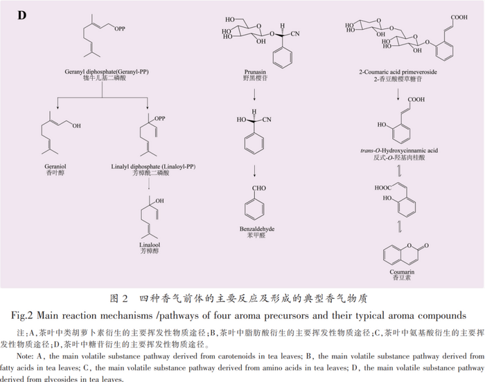 茶葉香氣研究進展③：茶葉中香氣的變化和形成機理