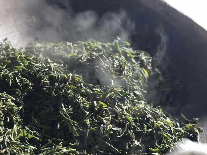 茶葉香氣研究進展③：茶葉中香氣的變化和形成機理