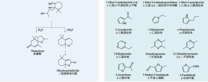 茶葉香氣研究進展③：茶葉中香氣的變化和形成機理