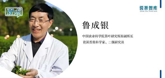 提出20周年！“兩山”理念如何助力茶業(yè)發(fā)展？