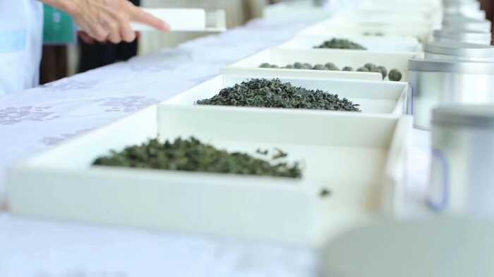  綠茶貯藏過程香氣成分研究進展