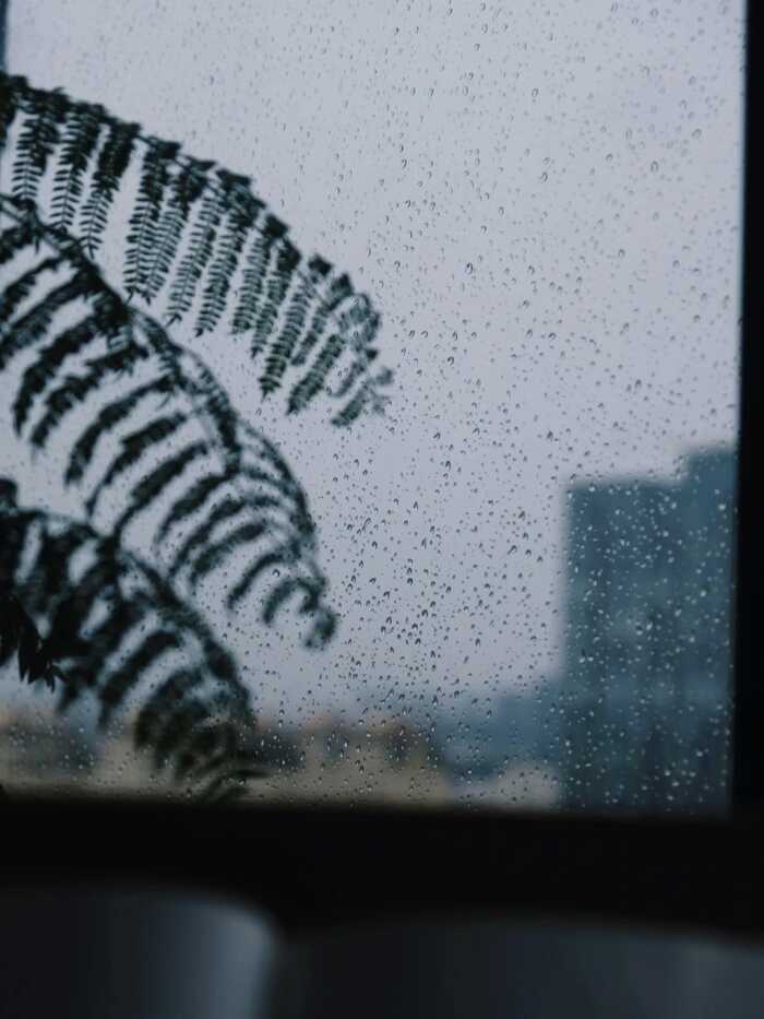 雨天泡茶總欠點(diǎn)滋味？幾招讓你輕松拿捏！