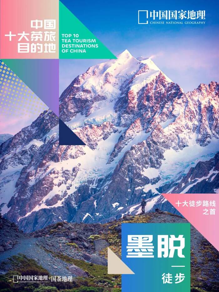 60周年，看西藏的這片“綠葉”如何跨越高原，綻放出金色光芒