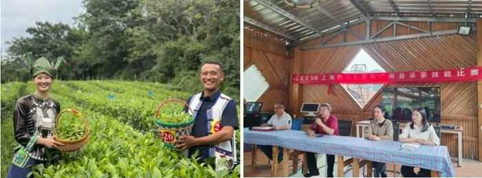 科技助農(nóng) 賦能廣南縣茶產(chǎn)業(yè)高質(zhì)量發(fā)展