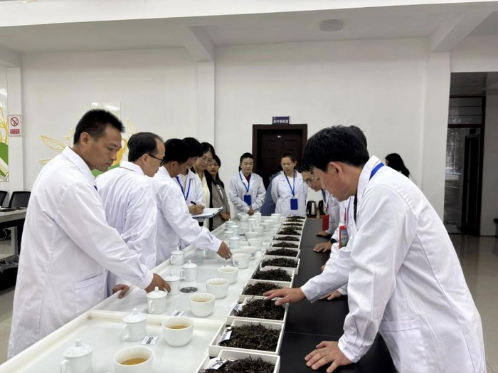 第十四屆勐海茶王節(jié)等一系列活動成功舉辦