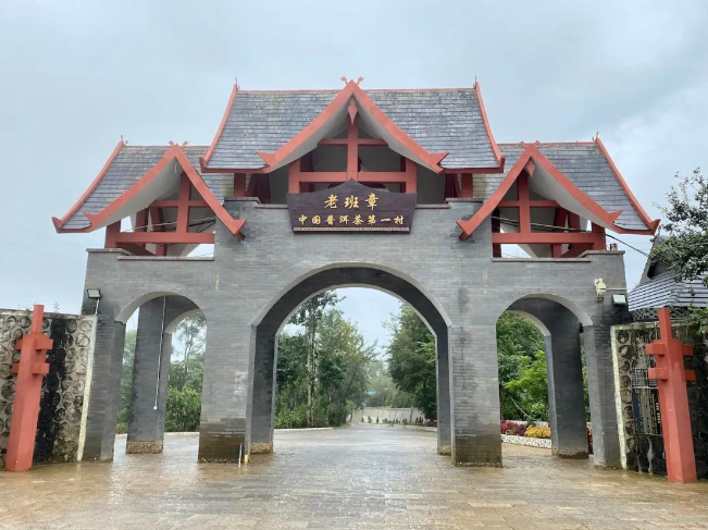 勐?？h班章村：古茶山搭上“數(shù)字”快車驅動三產(chǎn)融合全鏈價值躍升