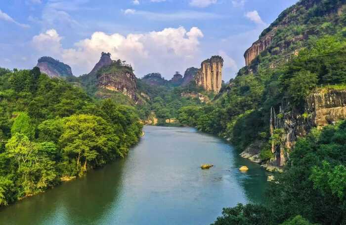 福建以茶為媒，向世界分享中國(guó)智慧