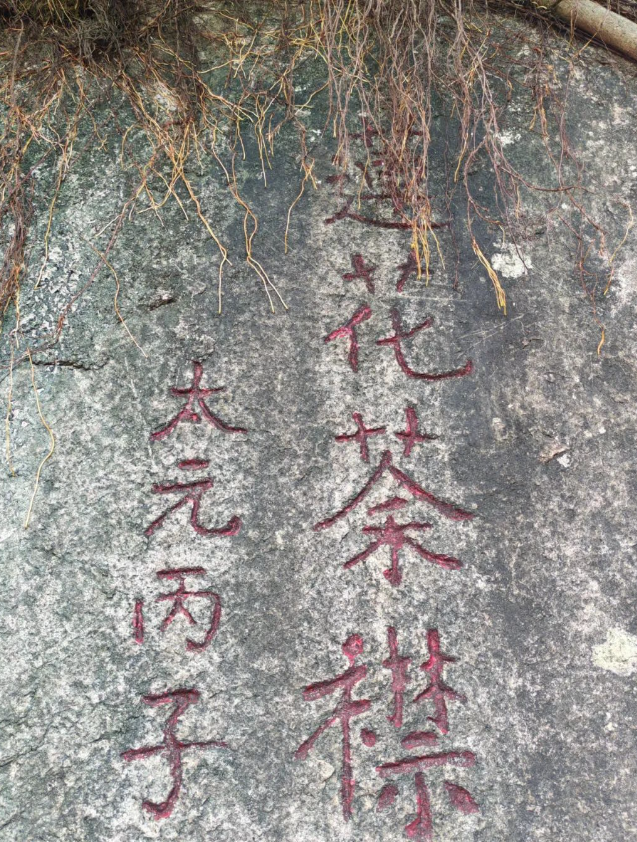 福建以茶為媒，向世界分享中國(guó)智慧