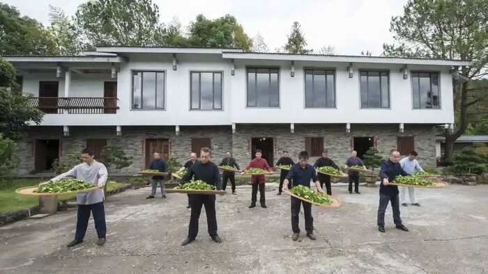 福建以茶為媒，向世界分享中國(guó)智慧