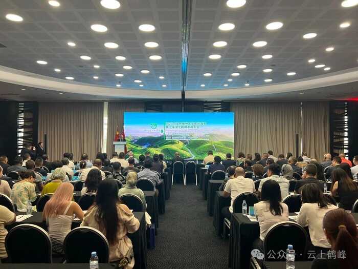 恩施州大宗茶出海暨第七屆湖北鶴峰茶商大會(huì)在摩洛哥召開