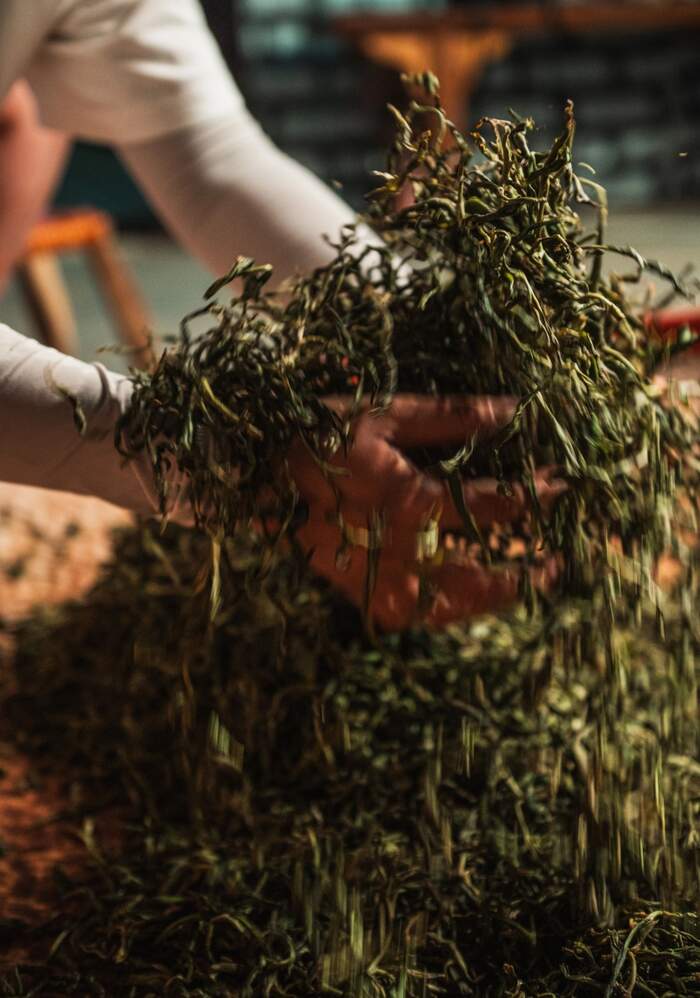 普洱茶行業(yè)的未來，應該往哪走？不妨和老同志一起，來一場 極限求索。