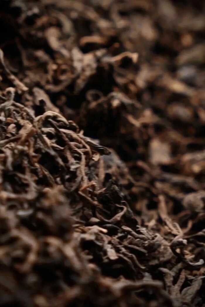 普洱茶行業(yè)的未來，應該往哪走？不妨和老同志一起，來一場 極限求索。