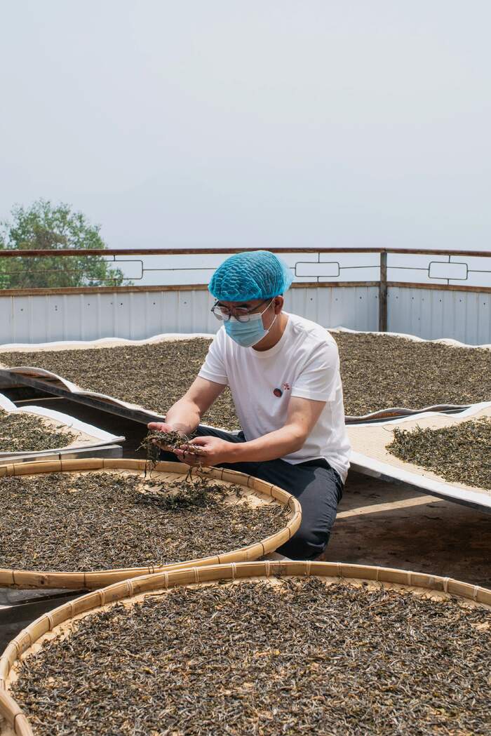 普洱茶行業(yè)的未來，應該往哪走？不妨和老同志一起，來一場 極限求索。